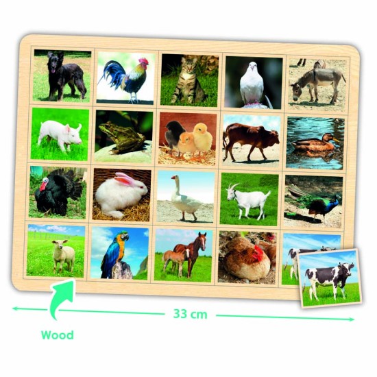 ΛΟΤΤΟ ΛΕΞΙΛΟΓΙΟΥ: ΖΩΑ ΤΗΣ ΦΥΣΗΣ