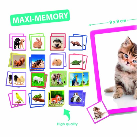 ΑΝΑΠΤΥΞΗ ΜΝΗΜΗΣ: ΖΩΑ ΤΗΣ ΦΥΣΗΣ