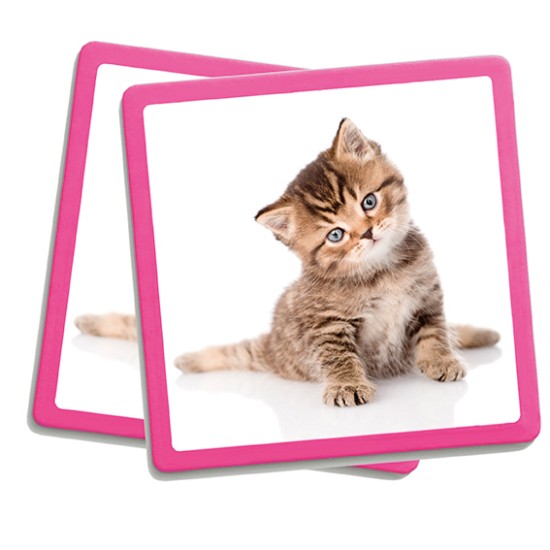 ΑΝΑΠΤΥΞΗ ΜΝΗΜΗΣ: ΖΩΑ ΤΗΣ ΦΥΣΗΣ