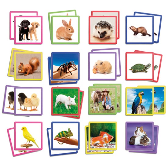 ΑΝΑΠΤΥΞΗ ΜΝΗΜΗΣ: ΖΩΑ ΤΗΣ ΦΥΣΗΣ