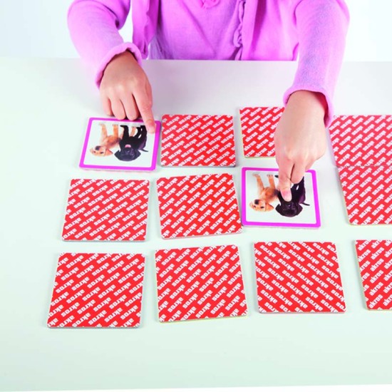 ΑΝΑΠΤΥΞΗ ΜΝΗΜΗΣ: ΖΩΑ ΤΗΣ ΦΥΣΗΣ