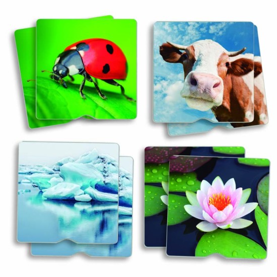 ΑΝΑΠΤΥΞΗΣ ΜΝΗΜΗΣ & ΑΦΗΣ: ΦΥΣΙΚΟ ΠΕΡΙΒΑΛΛΟΝ