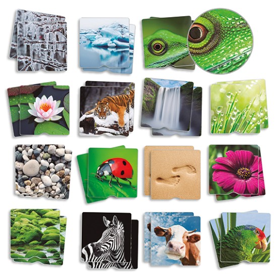 ΑΝΑΠΤΥΞΗΣ ΜΝΗΜΗΣ & ΑΦΗΣ: ΦΥΣΙΚΟ ΠΕΡΙΒΑΛΛΟΝ