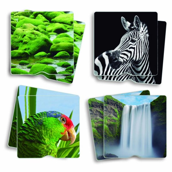 ΑΝΑΠΤΥΞΗΣ ΜΝΗΜΗΣ & ΑΦΗΣ: ΦΥΣΙΚΟ ΠΕΡΙΒΑΛΛΟΝ