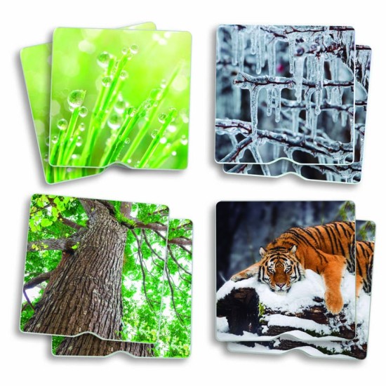 ΑΝΑΠΤΥΞΗΣ ΜΝΗΜΗΣ & ΑΦΗΣ: ΦΥΣΙΚΟ ΠΕΡΙΒΑΛΛΟΝ