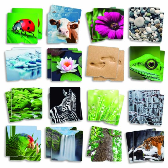 ΑΝΑΠΤΥΞΗΣ ΜΝΗΜΗΣ & ΑΦΗΣ: ΦΥΣΙΚΟ ΠΕΡΙΒΑΛΛΟΝ