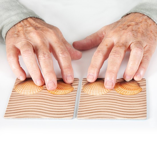 ΑΝΑΠΤΥΞΗΣ ΜΝΗΜΗΣ & ΑΦΗΣ: ΦΥΣΙΚΟ ΠΕΡΙΒΑΛΛΟΝ