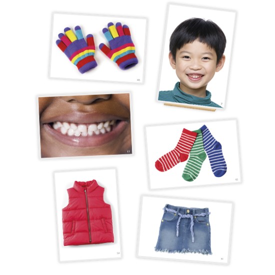 ΕΙΚΟΝΕΣ ΛΕΞΙΛΟΓΙΟΥ: ΜΕΡΗ ΤΟΥ ΣΩΜΑΤΟΣ & ΡΟΥΧΑ