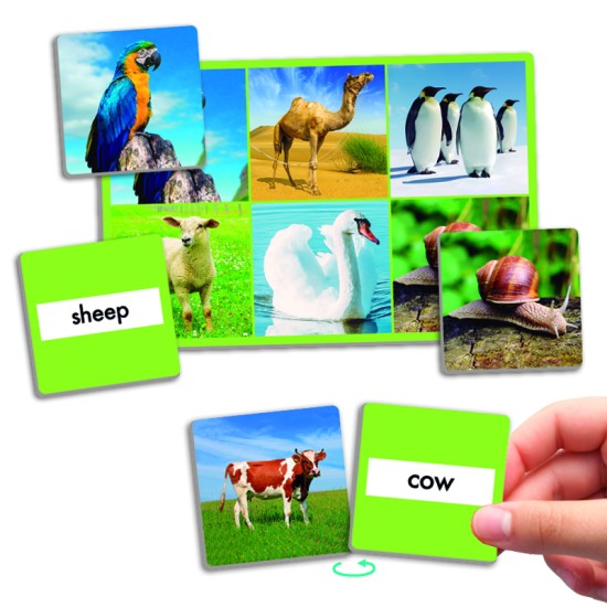 ΛΟΤΤΟ ΣΥΣΧΕΤΙΣΜΟΥ ΕΙΚΟΝΩΝ ΚΑΙ ΛΕΞΕΩΝ: ΖΩΑ ΤΗΣ ΦΥΣΗΣ