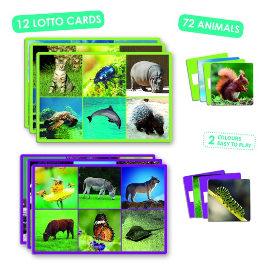 ΛΟΤΤΟ ΣΥΣΧΕΤΙΣΜΟΥ ΕΙΚΟΝΩΝ ΚΑΙ ΛΕΞΕΩΝ: ΖΩΑ ΤΗΣ ΦΥΣΗΣ