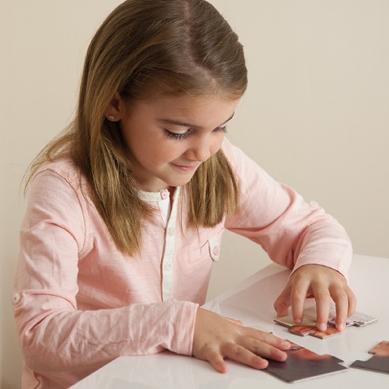 ΕΙΚΟΝΟΠΑΖΛ ΟΠΤΙΚΗΣ ΑΝΤΙΛΗΨΗΣ "ΤΑ 10 ΣΥΝΑΙΣΘΗΜΑΤΑ"