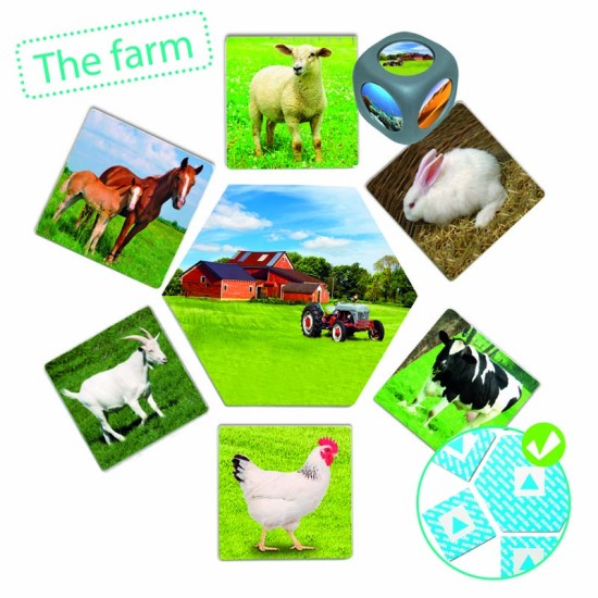 ΑΝΑΓΝΩΡΙΖΩ & ΣΥΣΧΕΤΙΖΩ: ΠΟΥ ΖΟΥΝ ΤΑ ΖΩΑ