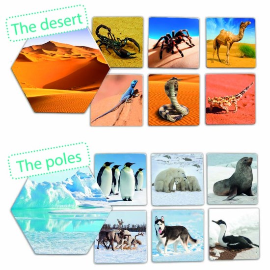 ΑΝΑΓΝΩΡΙΖΩ & ΣΥΣΧΕΤΙΖΩ: ΠΟΥ ΖΟΥΝ ΤΑ ΖΩΑ