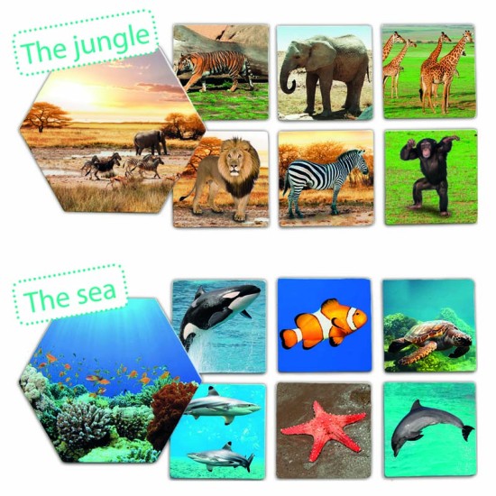 ΑΝΑΓΝΩΡΙΖΩ & ΣΥΣΧΕΤΙΖΩ: ΠΟΥ ΖΟΥΝ ΤΑ ΖΩΑ