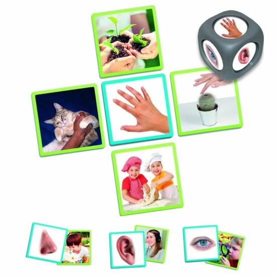 ΑΝΑΓΝΩΡΙΖΩ & ΣΥΣΧΕΤΙΖΩ: ΤΙΣ 5 ΑΙΣΘΗΣΕΙΣ