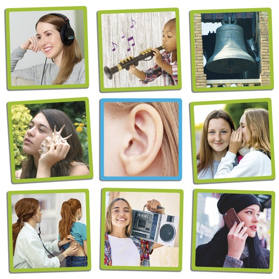 ΑΝΑΓΝΩΡΙΖΩ & ΣΥΣΧΕΤΙΖΩ: ΤΙΣ 5 ΑΙΣΘΗΣΕΙΣ