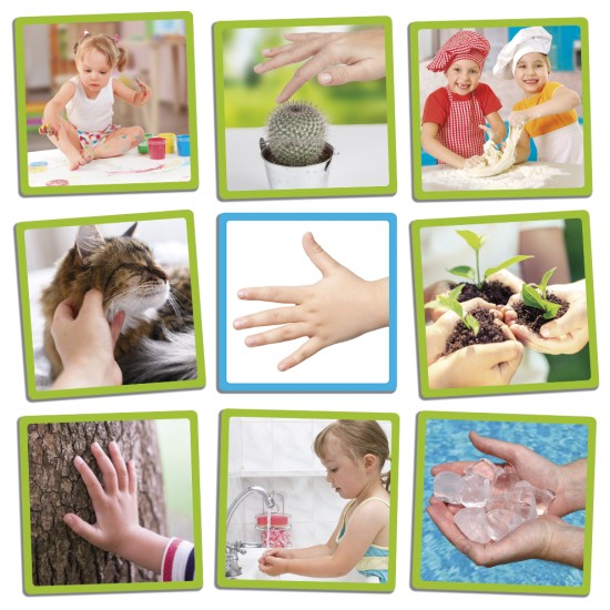 ΑΝΑΓΝΩΡΙΖΩ & ΣΥΣΧΕΤΙΖΩ: ΤΙΣ 5 ΑΙΣΘΗΣΕΙΣ