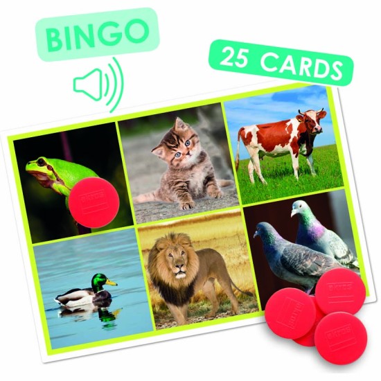 ΛΟΤΤΟ ΑΝΑΓΝΩΡΙΣΗΣ ΗΧΩΝ: ΖΩΑ & ΦΥΣΙΚΟ ΠΕΡΙΒΑΛΛΟΝ