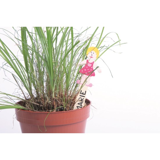 ΣΕΤ ΞΥΛΙΝΕΣ ΦΙΓΟΥΡΕΣ