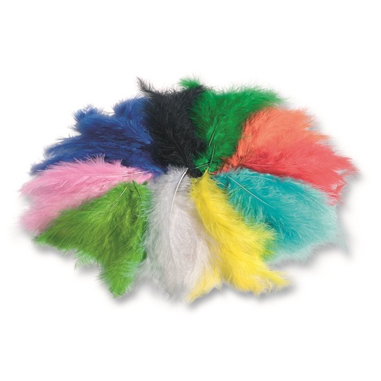 ΦΤΕΡΑ ΧΡΩΜΑΤΙΣΤΑ