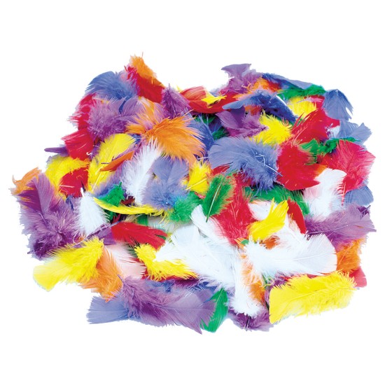 ΦΤΕΡΑ ΧΡΩΜΑΤΙΣΤΑ