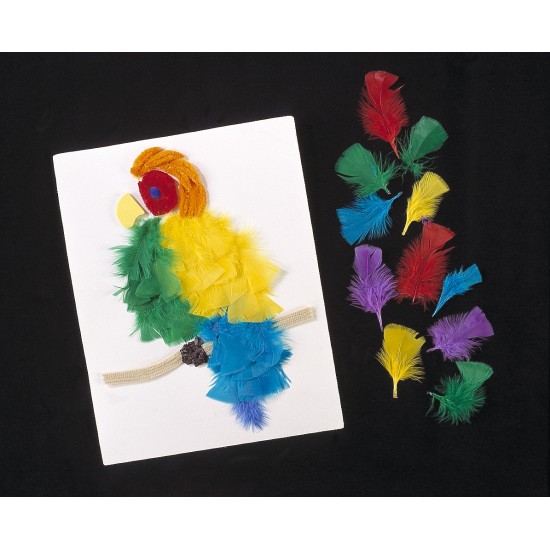 ΦΤΕΡΑ ΧΡΩΜΑΤΙΣΤΑ