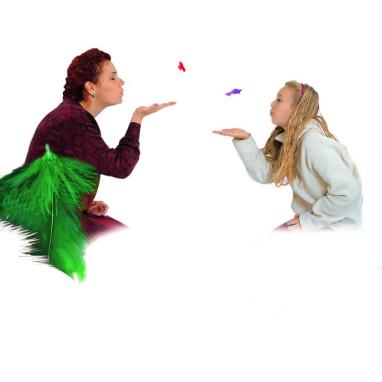 ΦΤΕΡΑ ΧΡΩΜΑΤΙΣΤΑ