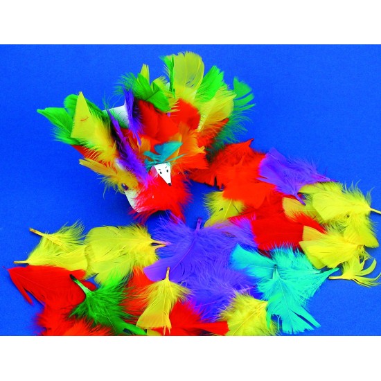 ΦΤΕΡΑ ΧΡΩΜΑΤΙΣΤΑ