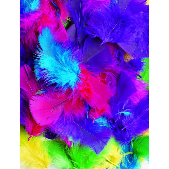 ΦΤΕΡΑ ΧΡΩΜΑΤΙΣΤΑ