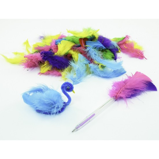 ΦΤΕΡΑ ΧΡΩΜΑΤΙΣΤΑ