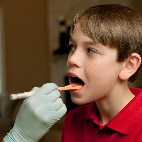 ΑΠΟΣΠΩΜΕΝΟ ΑΚΡΟ ARK'S TONGUE TIP