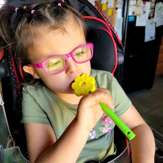 ΣΤΟΜΑΤΟΜΑΣΗΤΙΚΟ ARK'S FLOWER WAND HARD ΧΧΤ