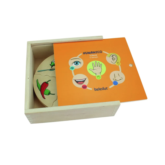 ΠΑΖΛ 5 ΑΙΣΘΗΣΕΙΣ ΚΑΙ ΤΙ ΤΙΣ ΠΡΟΚΑΛΕΙ