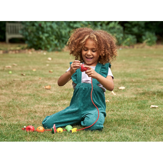 ΦΡΟΥΤΑ ΓΙΑ ΡΑΨΙΜΟ 8 τεμ.