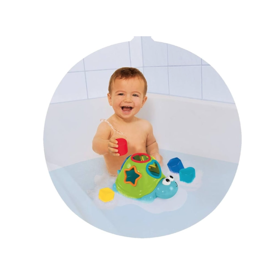 ΧΕΛΩΝΙΤΣΑ ΤΑΞΙΝΟΜΗΣΗΣ ΣΧΗΜΑΤΩΝ