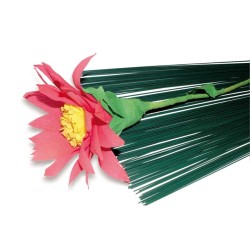 ΣΥΡΜΑ ΛΟΥΛΟΥ∆ΙΩΝ