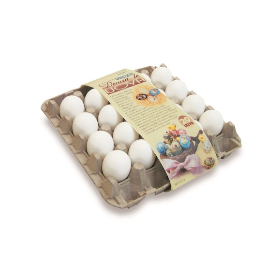 ΑΥΓΑ ΠΛΑΣΤΙΚΑ ΛΕΥΚΑ