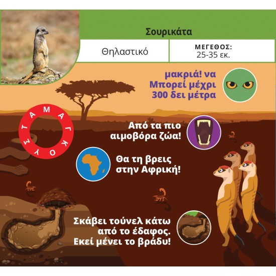 ΤΑ ΞΕΦΤΕΡΙΑ: ΖΩΑ & ΦΥΤΑ