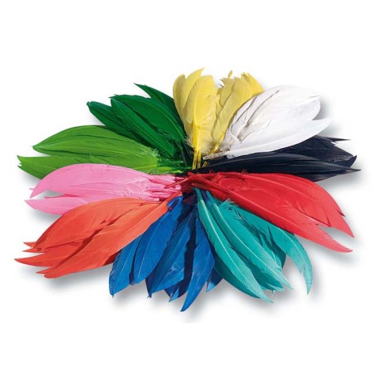 ΦΤΕΡΑ ΙΝΔΙΑΝΟΥ