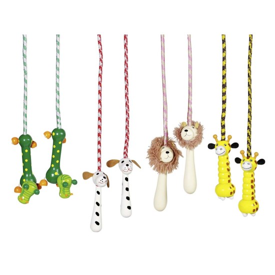 ΣΧΟΙΝΑΚΙΑ ΓΥΜΝΑΣΤΙΚΗΣ ΜΕ ΛΑΒΗ ΖΩΑΚΙ