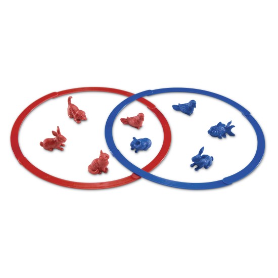 ΚΥΚΛΟΙ ΤΑΞΙΝΟΜΗΣΗΣ & ΟΜΑΔΟΠΟΙΗΣΗΣ