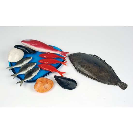 ΨΑΡΙΑ / σετ 12τμχ