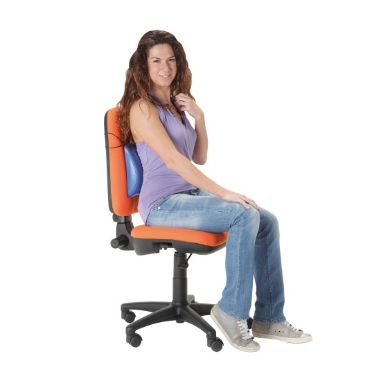 SENSORY CUSHION BACK