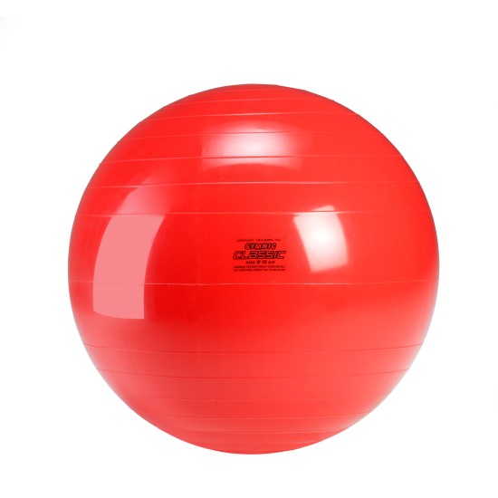 ΜΠΑΛΑ ΓΥΜΝΑΣΤΙΚΗΣ BASIC 55cm