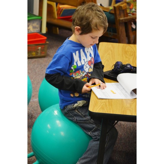 ΜΠΑΛΑ ΚΑΘΙΣΜΑ ΑΥΤΟΡΡΥΘΜΙΣΗΣ: SEAT BALL BASIC 45cm