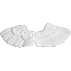 ΦΤΕΡΑ ΑΓΓΕΛΟΥ