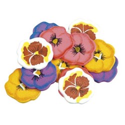 ΔΙΑΚΟΣΜΗΤΙΚΑ ΛΟΥΛΟΥ∆ΙΑ