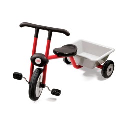 TRICYCLE WITH TRAILER