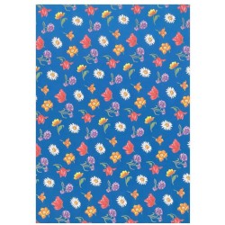 ΧΑΡΤΟΝΙ ΜΕ ΣΧΕ∆ΙΑ ΛΟΥΛΟΥΔΙΑ 50 Χ 70cm