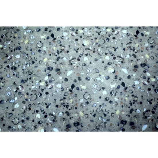 ΧΑΡΤΟΝΙ ΜΕ ΣΧΕΔΙΑ ΚΟΧΥΛΙΑ ΣΤΗΝ ΑΜΜΟ 50 Χ 70cm